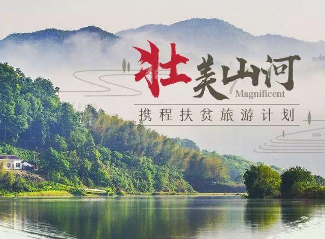 流行疯癫，音综式微，品质在现场 | 音乐市场的2023